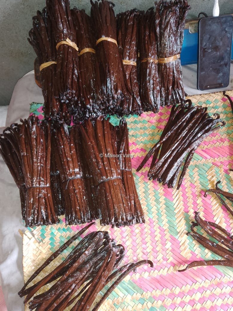 Récolte de vanille
